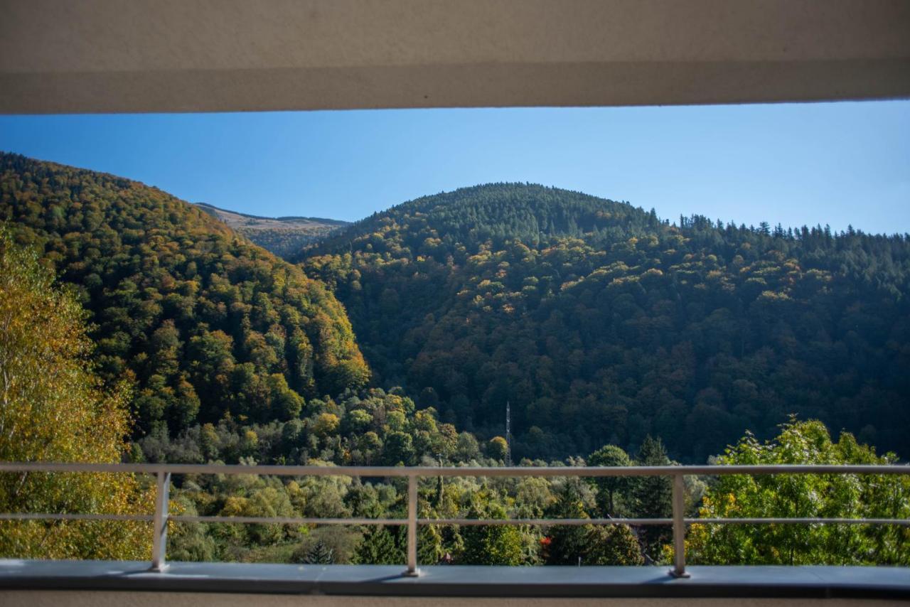 Blue Forest Studio Sinaia Buitenkant foto