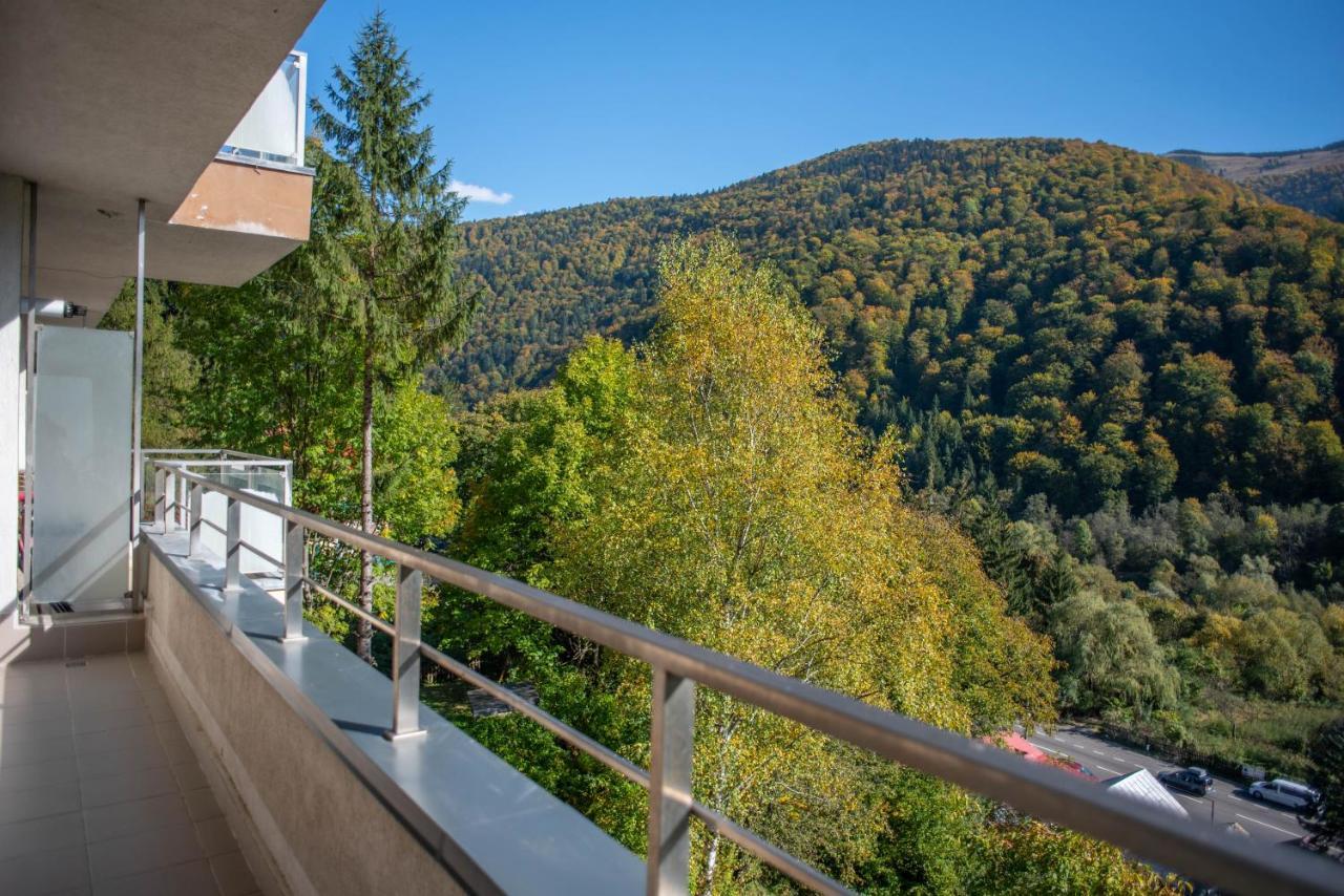 Blue Forest Studio Sinaia Buitenkant foto
